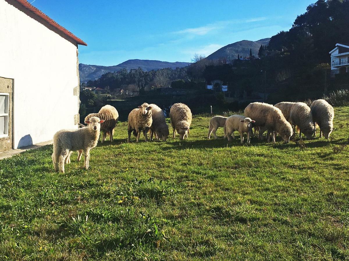 Casas Da Loureira - Casa Do Pote Affittacamere Vila Nova de Cerveira Esterno foto