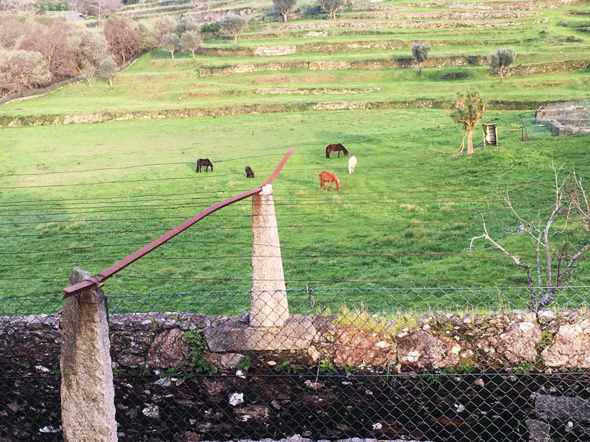 Casas Da Loureira - Casa Do Pote Affittacamere Vila Nova de Cerveira Esterno foto